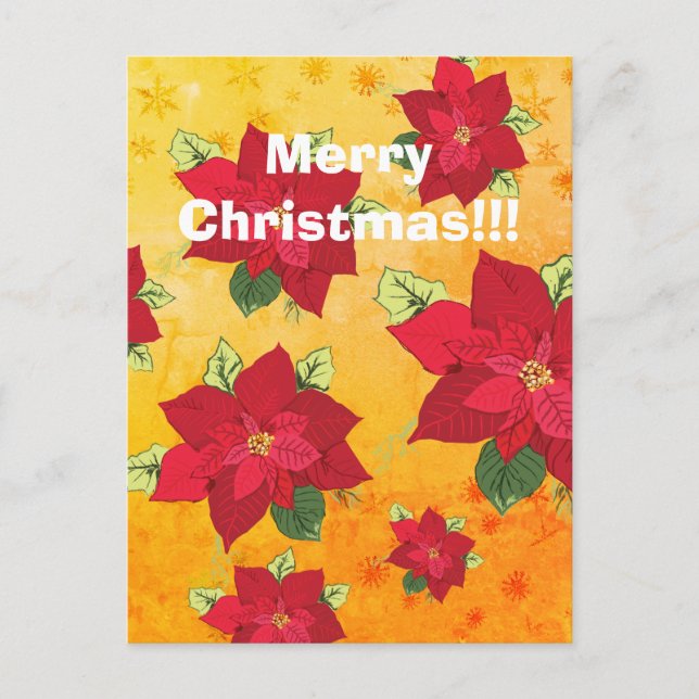 Julpostkort  Poinsettia blomma Helg Vykort (Framsida)