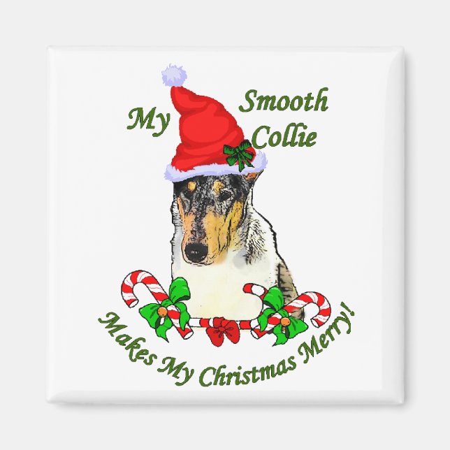 Julpresenter för Smooth Collie Magnet (Framsidan)