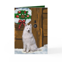 Julpresenter från Samoyed