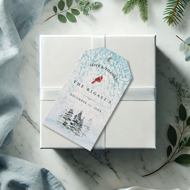 Julpresentkort Eleganta Vinterliga Akvareller Presentetikett (Christmas gift tags watercolor pine trees and winter scene blue)
