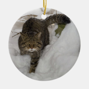 Julprydnad - skotsk vildkatt julgransprydnad keramik