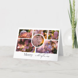 Julprydnadsföremål - kollage #2 tack kort