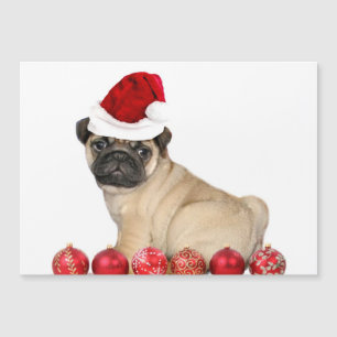Julpug hund