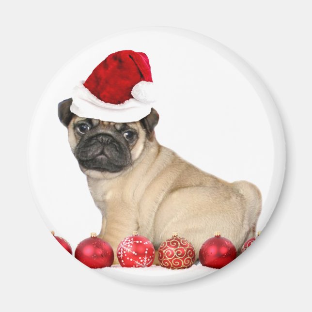 Julpug hund magnet (Framsidan)