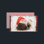 Julpug i Santa Hat med Ljus jul Visitkort<br><div class="desc">Festiva affärskort med ett vackert foto av en pug valp som sover medan de bär en tomatisk hatt. God jul är skrivet på hattens band i ett handskrivet trendig. Ett grymt gräns med färgfull julafton ljus omger ram i detta söta foto. Bakgrunden är en röd abstrakt-bild.</div>