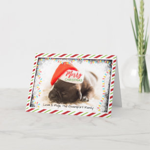 Julpug i tomtehatt med julgransbelysning helgkort