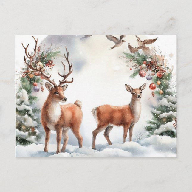 Julrenar Helg Vykort (Framsida)