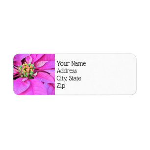 JulReturetiketter - Rosa Poinsettia Returadress Etikett