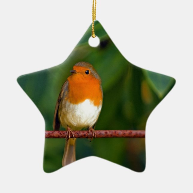 Julrobin Julgransprydnad Keramik (Framsidan)