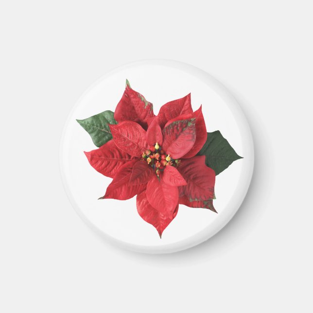 Julröd Poinsettia Magnet (Framsidan)