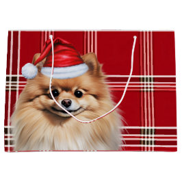 Julröd Rutig Pomeranian Hundälskare