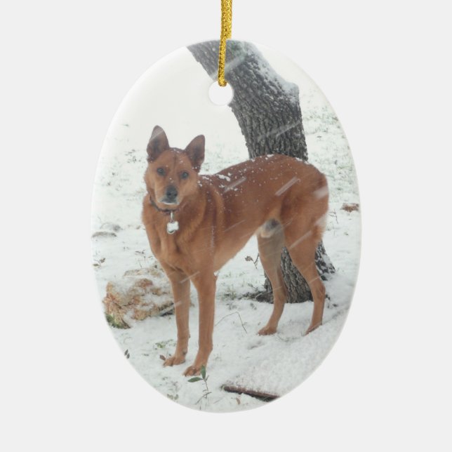 Julsamlingshusdjur eller familjfoto julgransprydnad keramik (Framsidan)