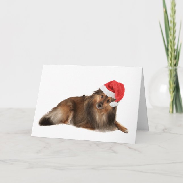 JulSheltie hund Helgkort (Framsida)