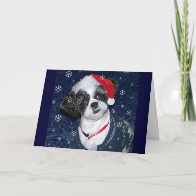 JulShih Tzu hund Helgkort (Framsida)