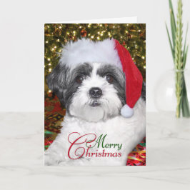 JulShih Tzu hund Helgkort