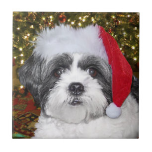 JulShih Tzu hund Kakelplatta