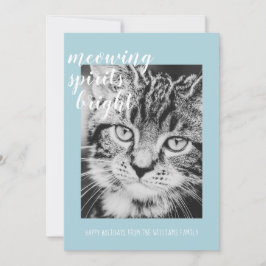 Julsjälar lyser upp din kattbild-högtid julkort