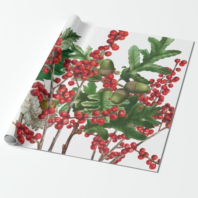 Julskogen Festive Berries Acorn Evergreen Presentpapper (Utrullad)