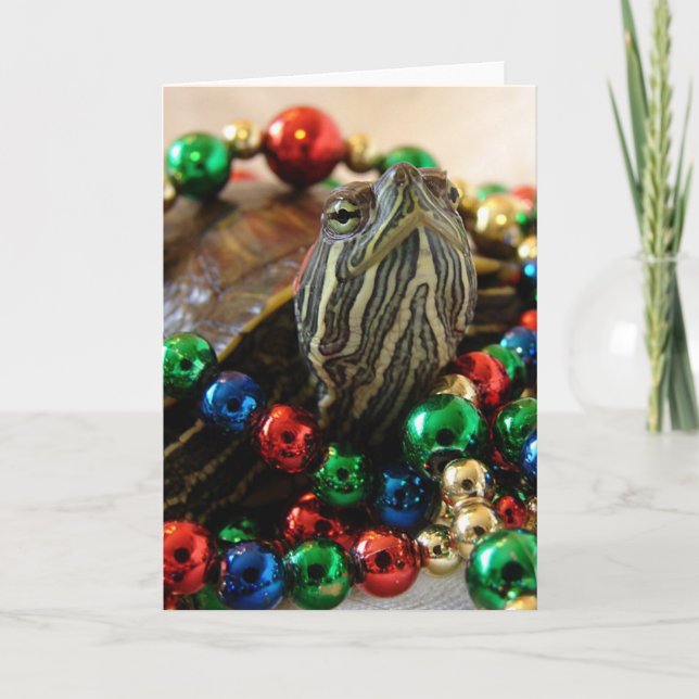 Julsköldpadda Helgkort (Framsida)