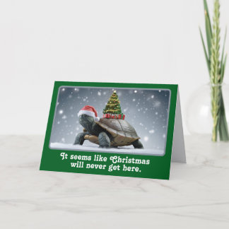 Julsköldpadda Kort