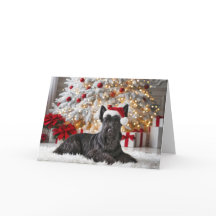 Julskotsk terrier