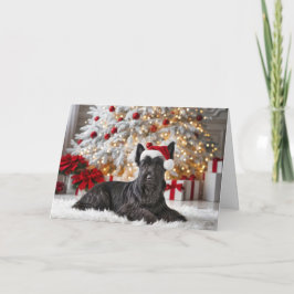 Julskotsk terrier kort