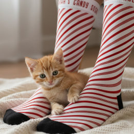 Julsocklar med röd och vit Candy cane-rand