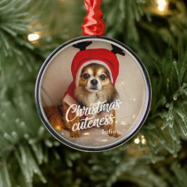 Julsöktighet Cute Pet-Helgdag Ornament