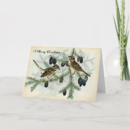 JulSparrows på helgdag för grästrädgrenar Helgkort