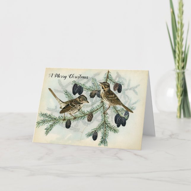 JulSparrows på helgdag för grästrädgrenar Helgkort (Framsida)