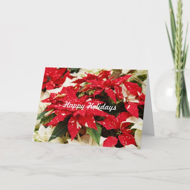 Julstämda röda vita blommande Poinsettia blommor Helgkort (Framsida)