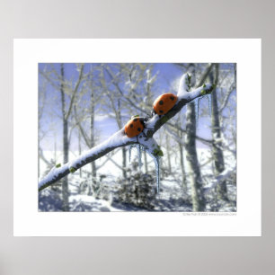 Julstegfåglar Poster