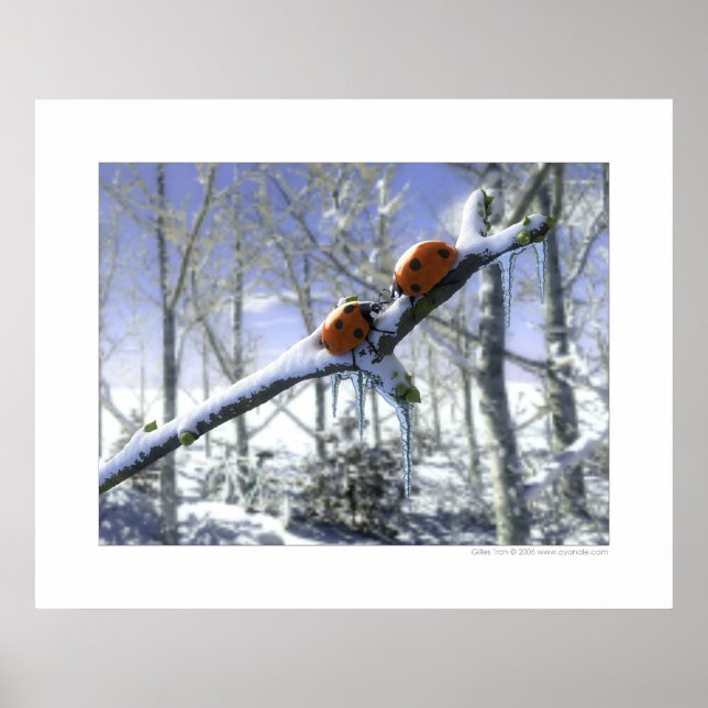 Julstegfåglar Poster (Framsidan)