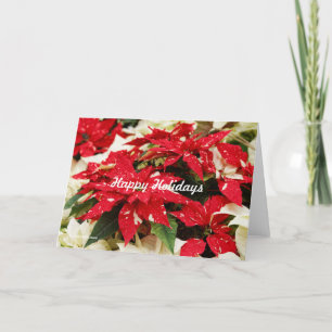 Julstilig röd vit blommande julstjärna helgkort