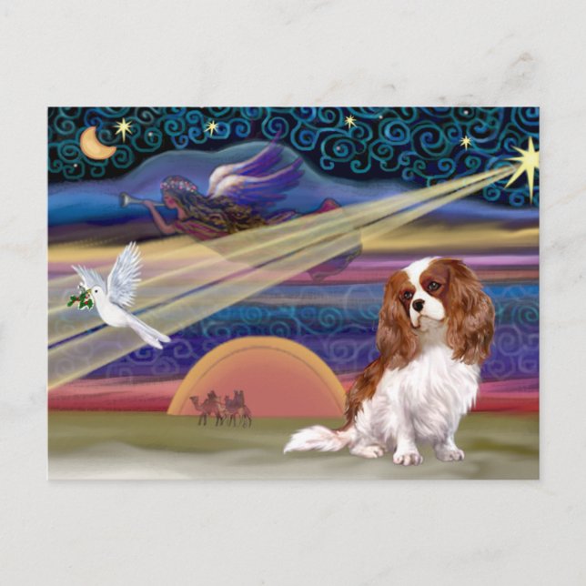 Julstjärna - Cavalier (Blenheim) Helg Vykort (Framsida)