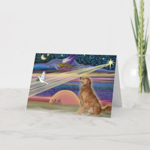 Julstjärna - Golden Retriever #3 Helgkort