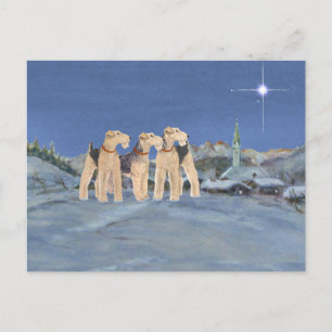Julstjärna Helg Vykort