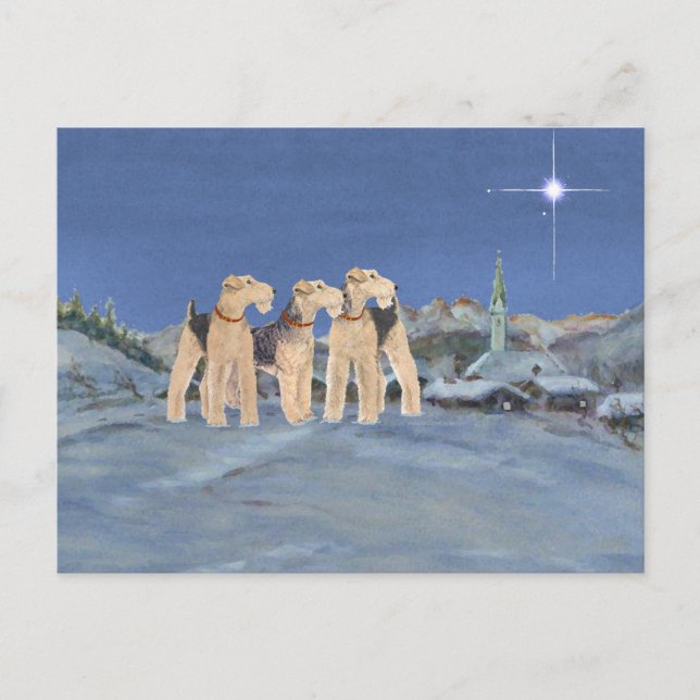 Julstjärna Helg Vykort (Framsida)