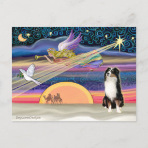 Julstjärnan - Australian shepherd (Tri) Helg Vykort