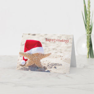 Julstjärnkorall i strandsand kort