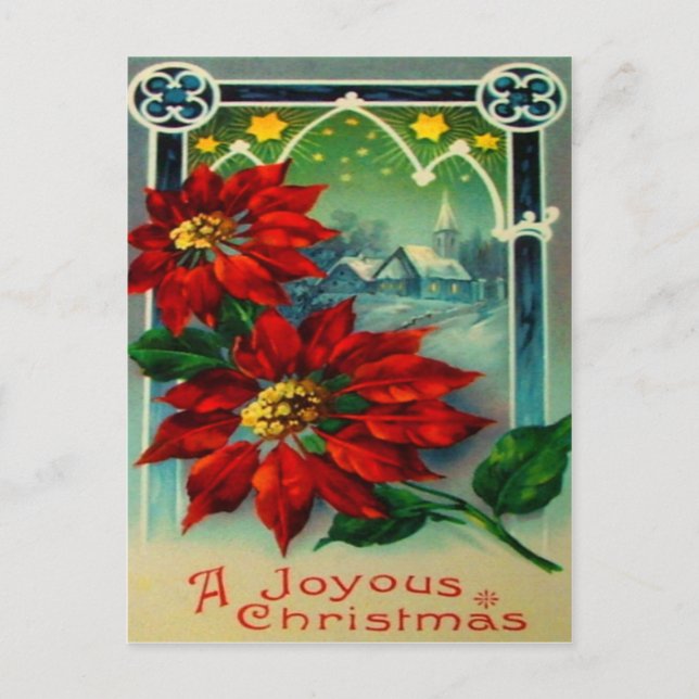 Julstjärnor Vykort (Framsida)