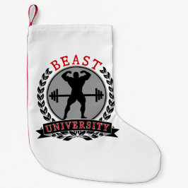 Julstrumpa för Bodybuildingbeastuniversiteten