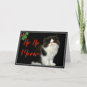 Julsvart Helgdag, vit fluffy Kitten Kort