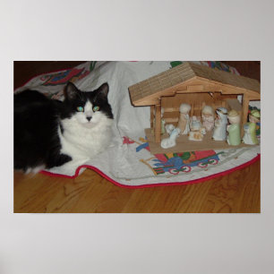 Julsvart och vit katt poster