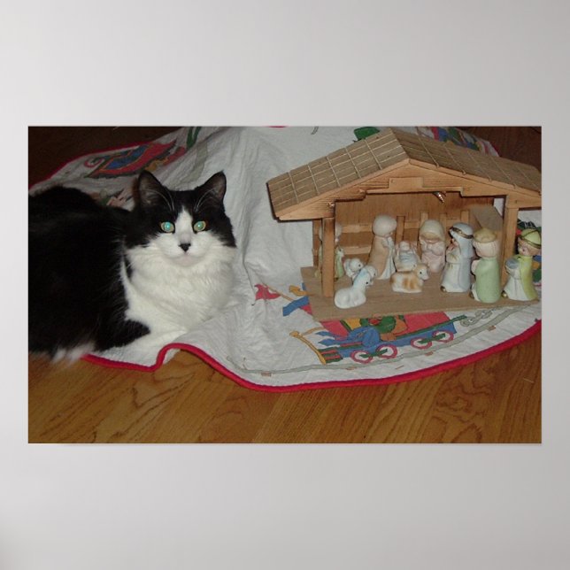 Julsvart och vit katt poster (Framsidan)