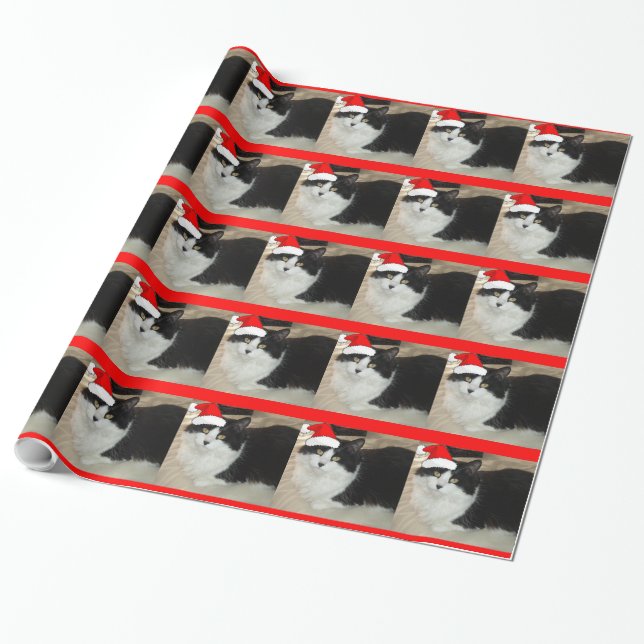 Julsvart och vit katt presentpapper (Utrullad)