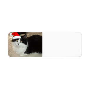 Julsvart och vit katt returadress etikett