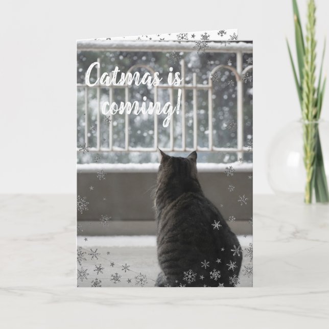 JulTabby Cute Cat i Helgdag Snö Helgkort (Framsida)