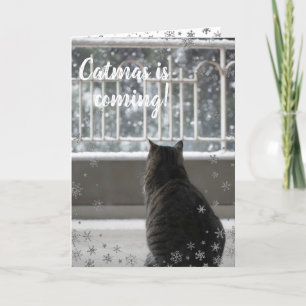 JulTabby Cute Cat i Helgdag Snö Helgkort