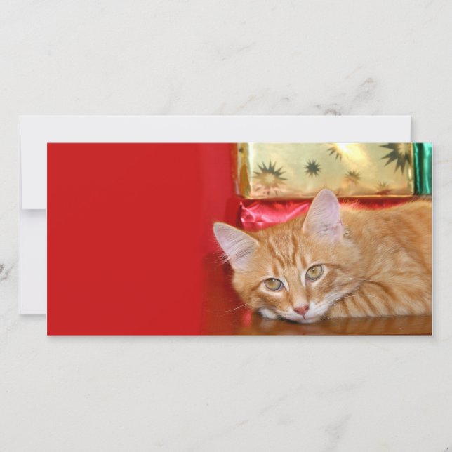 Jultålamod Julkort (Framsida)